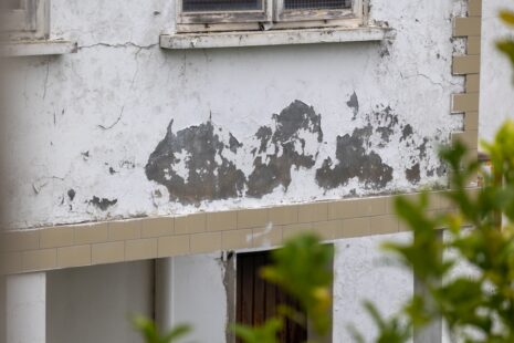 How Moisture Damages Exterior Paint?