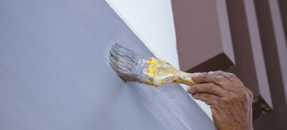 What Is the Best Paint Finish for Interior Walls?